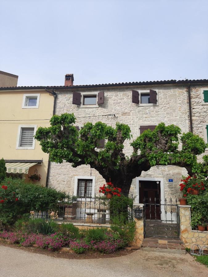 Casa Girasole Buje Exterior foto